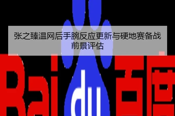 张之臻温网后手腕反应更新与硬地赛备战前景评估